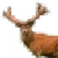 Pixel Stag