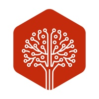 Treehouse Technology Group